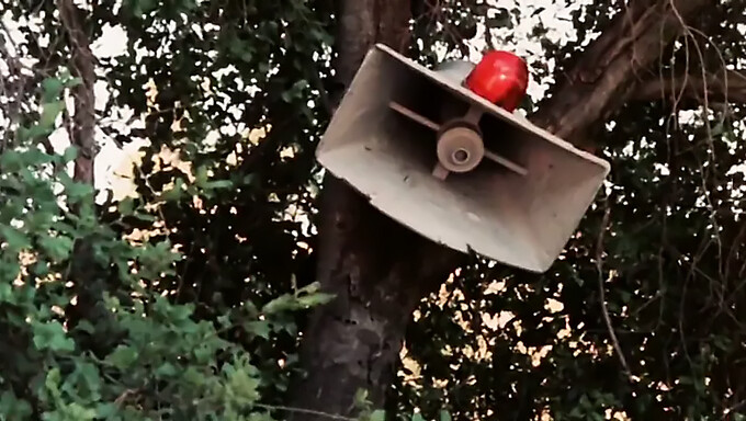 Těsná Panenská Kundička Kari Klark Získává Trochu Pozornosti