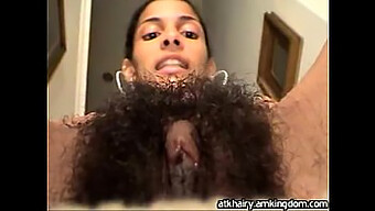 Hairy Lati...