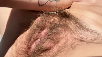 Hairy Amat...